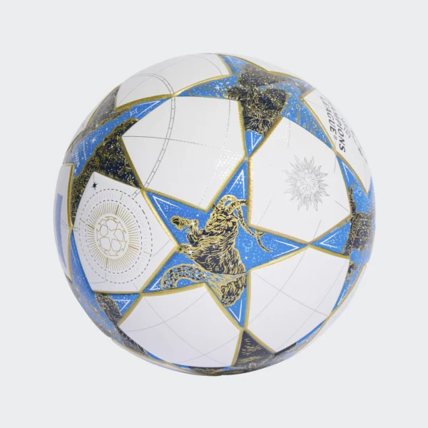 Pelota champions league 25/26 league stage