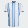 ARGENTINA HOME 26 27 B