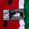 Palestino 3ra 2026 Palestino 3ra