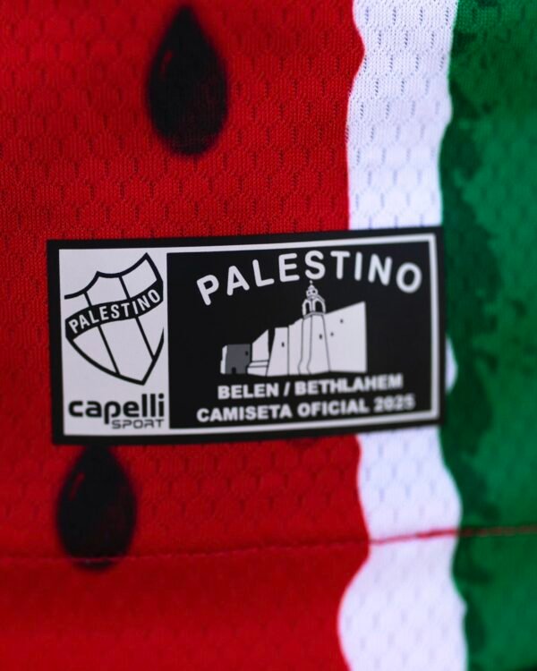 Palestino 3ra 2026 Palestino 3ra
