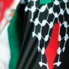 PALESTINO HOME 2026 D