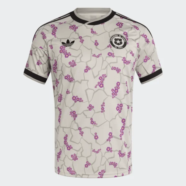 Selección Chile Vista 2026