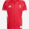 Liverpool Baseball 25/26